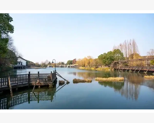 大便糖稀不成形怎么调理?中医告诉你有效方法!