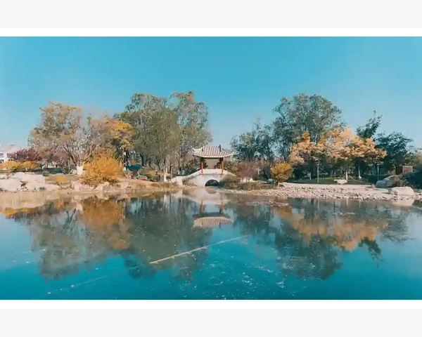 大便粘腻与脾胃湿寒的中医解析